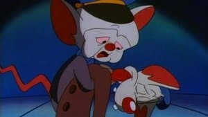 Das Mouse