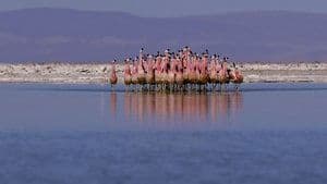Atacama, Chile