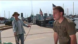 Bull Whip