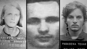 The Candyman Murders