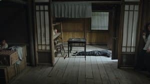 Episode 29