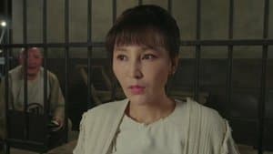 Episode 29