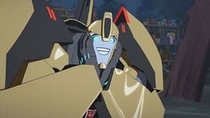 Adventures in Bumblebee-sitting!