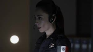 Episode 29