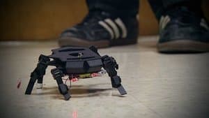 Rise of the Machines