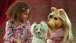 Dog Training