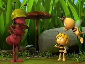 Dancing with Bees