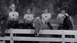 The Big Rodeo