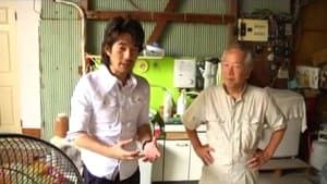 Episode 17