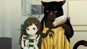 A Masterful Cat Is Popular
