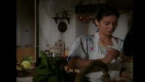 Episode 24