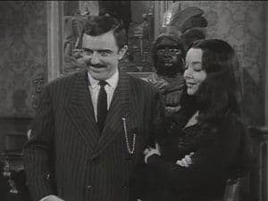 Morticia, the Breadwinner