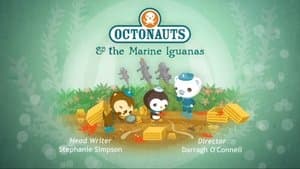The Marine Iguanas