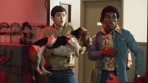 Dog Day Afternoon