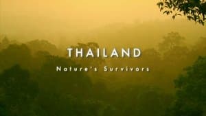Thailand - Nature's Survivors