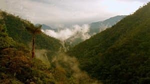 From Ecuador to Bolivia