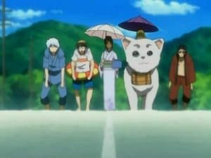 Why is the Sea So Salty? Because You City Folk Pee Whenever You Go Swimming!