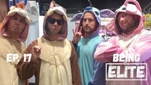 Episode 17