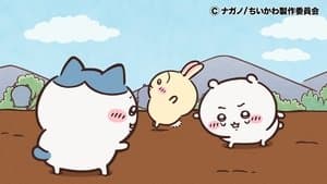 Episode 267