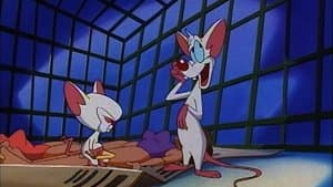Pinky & The Fog