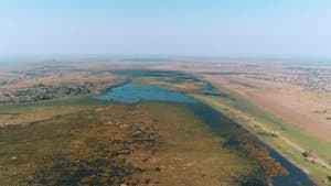 Lost Jungle Civilisation