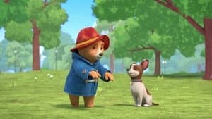 Paddington Meets Lucky