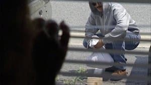The Unabomber