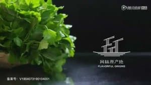 Chinese Motherwort