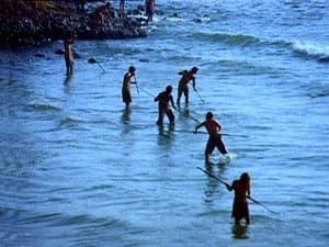 Tomorrow's Tide