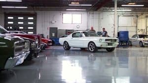 A Mustang's Twists and Turns