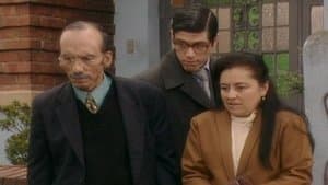 Episode 239