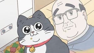 Episode 37