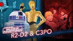 R2-D2 and C3PO - Trash Compactor Rescue