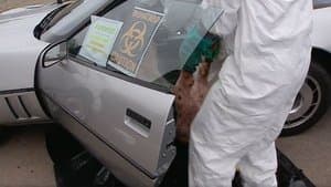 Stinky Car