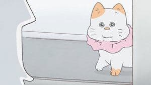 Episode 28