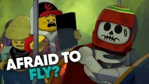 Flying Lessons