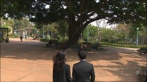 Episode 13