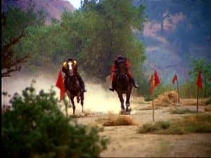 The Horse Race