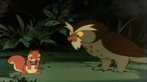 Friends of the Forest
