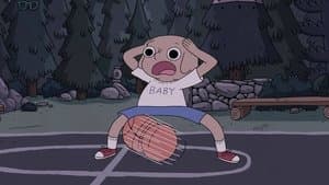 The Basketball Liaries