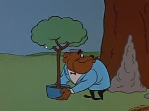 The Money Tree