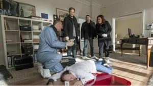 Episode 55