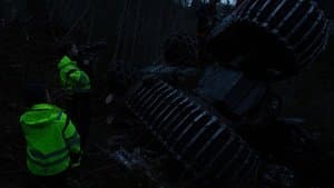 Into the Woods