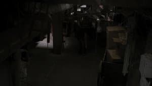 Lost Boys