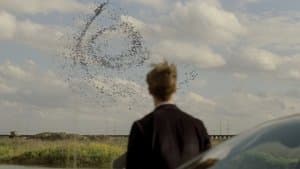 Seeing Things