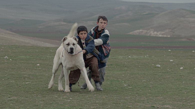 Sivas