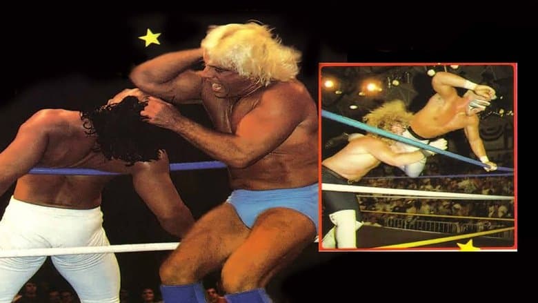 NWA The Great American Bash '89: The Glory Days